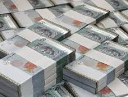 Cara Dapat Uang Online dari Internet lewat Jasa Dokumentasi Hasil Testing Aplikasi